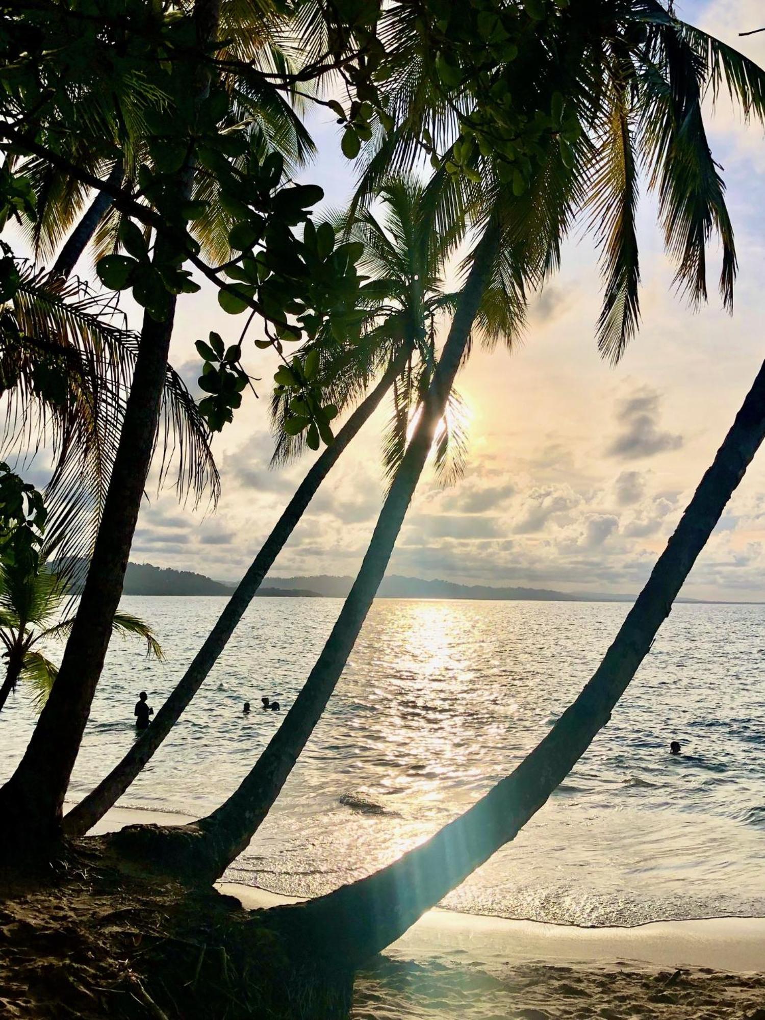 Cabinas Ole Caribe Puerto Viejo de Talamanca 외부 사진