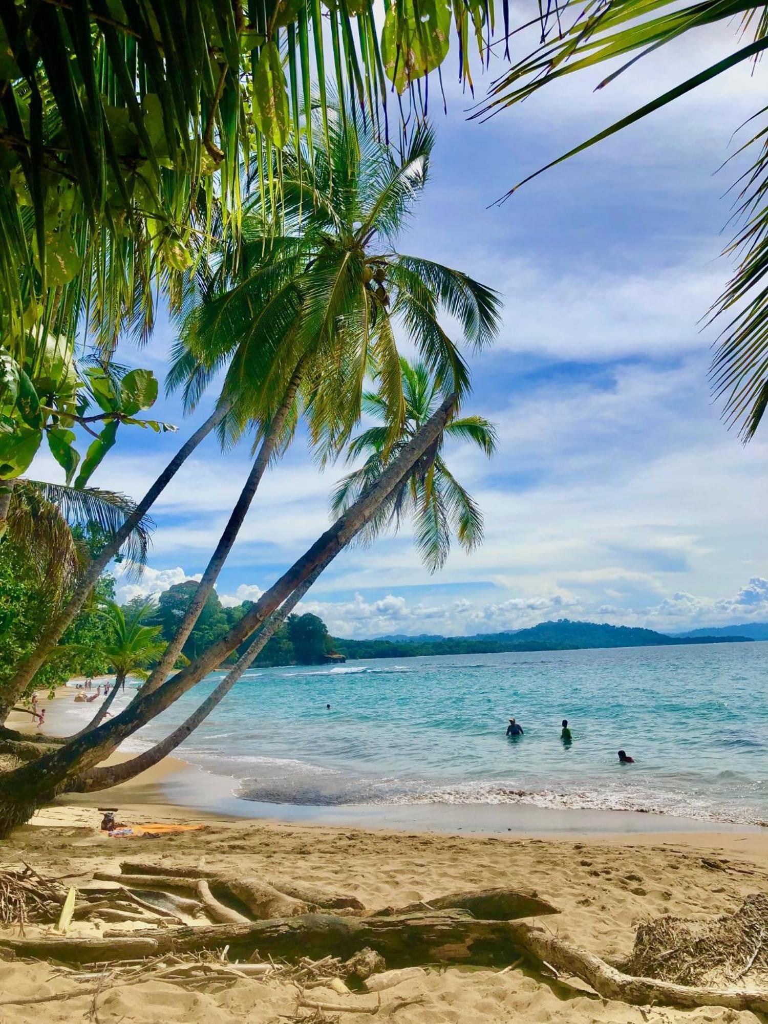 Cabinas Ole Caribe Puerto Viejo de Talamanca 외부 사진
