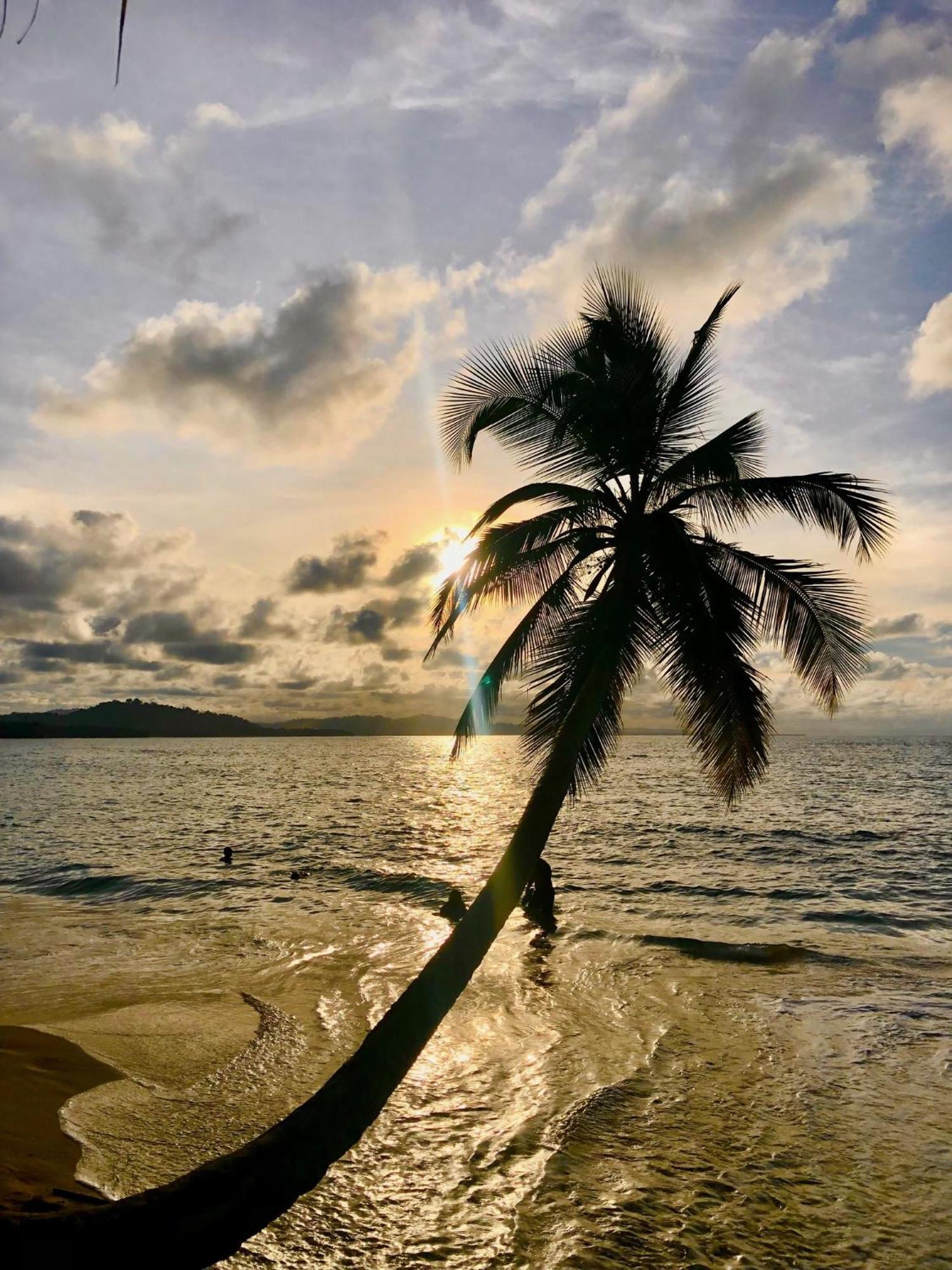 Cabinas Ole Caribe Puerto Viejo de Talamanca 외부 사진