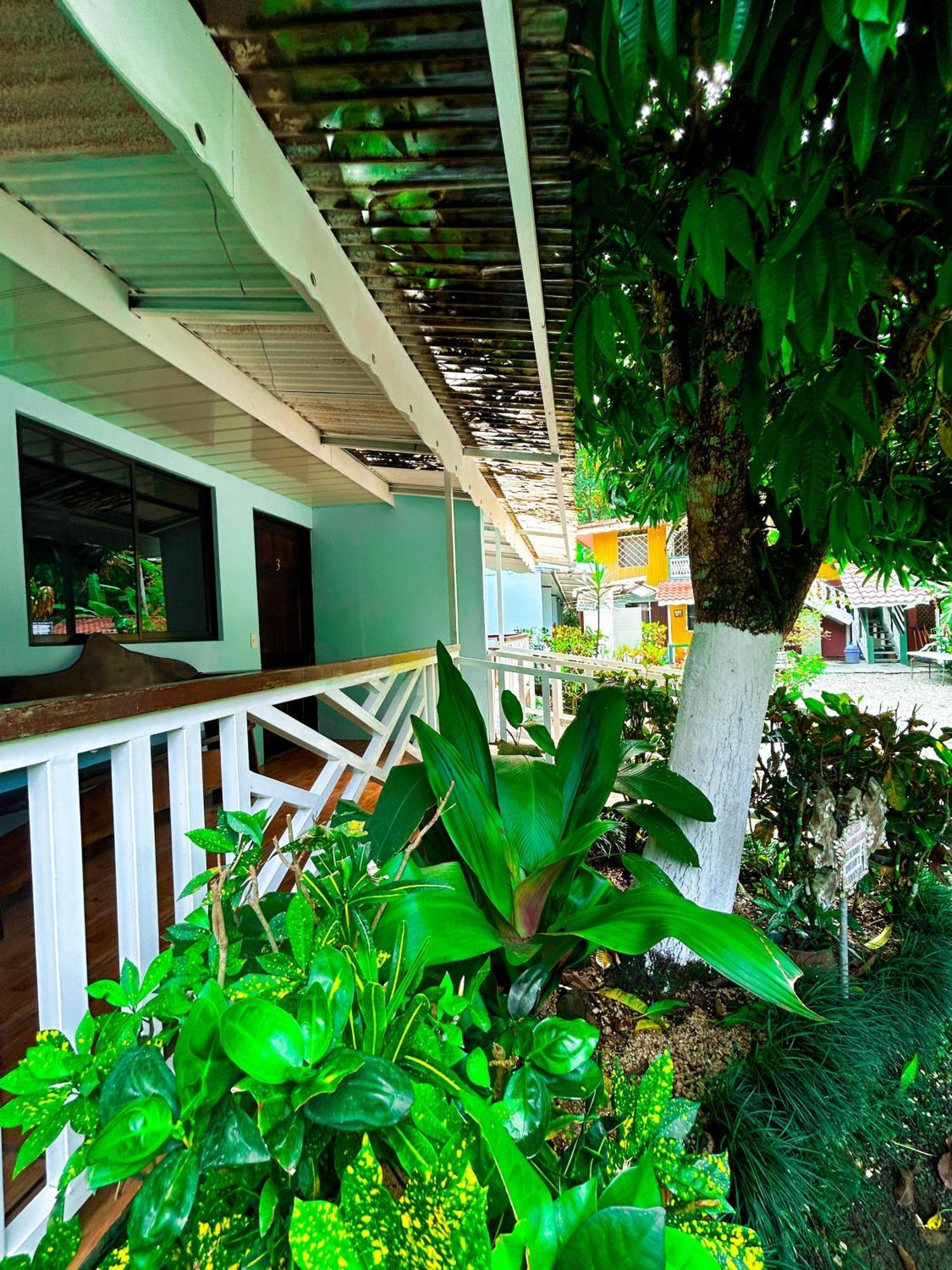 Cabinas Ole Caribe Puerto Viejo de Talamanca 외부 사진
